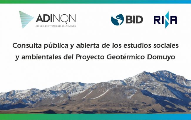 consulta_domuyo